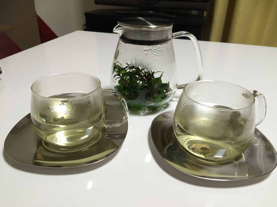 奥が深い フレッシュハーブティーに挑戦 美味しい飲み方を探ります 至福の一杯を目指して ハーブティー