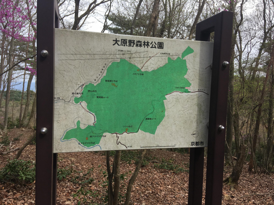 標高678 9mで水曜どうでしょうを思う In The 地獄