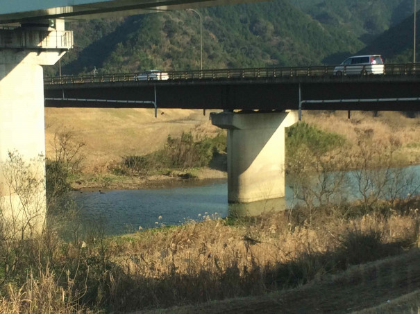 中筋川 バス釣り備忘録 In The 地獄