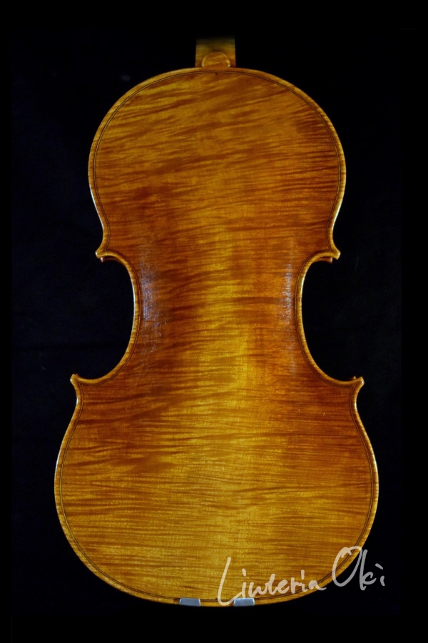 Viola 