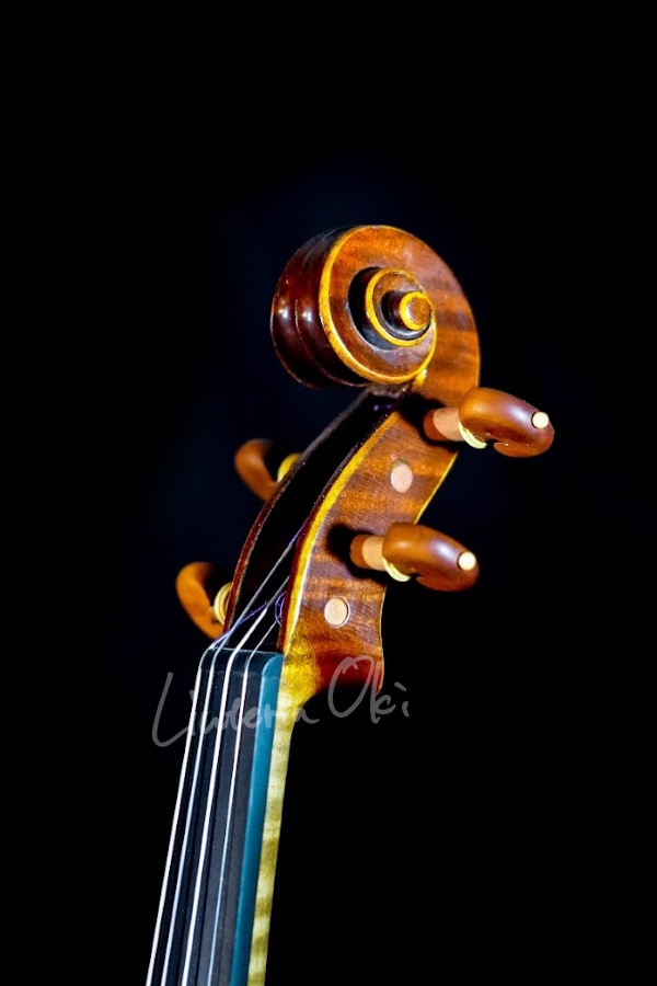 Violin