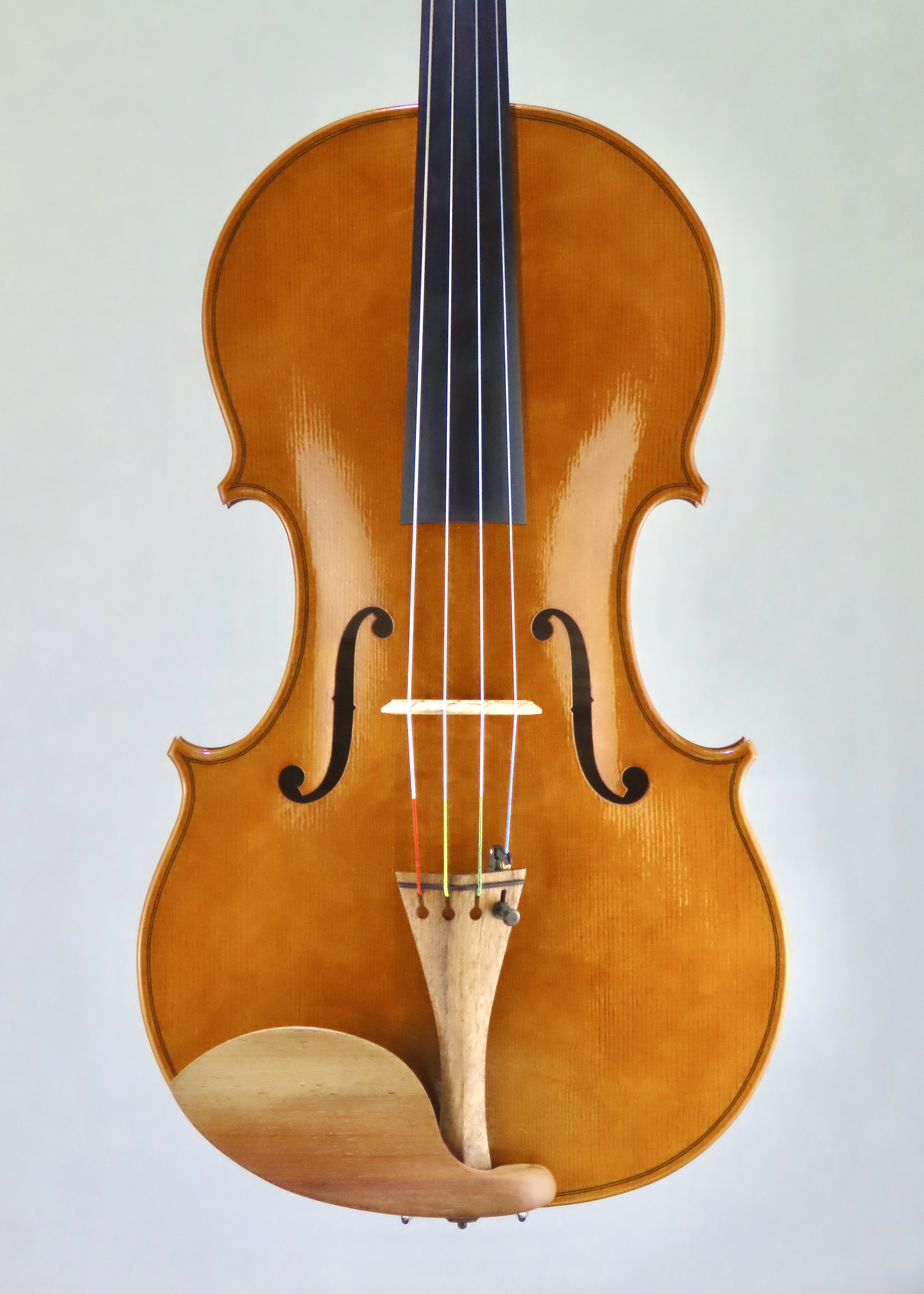 Viola 