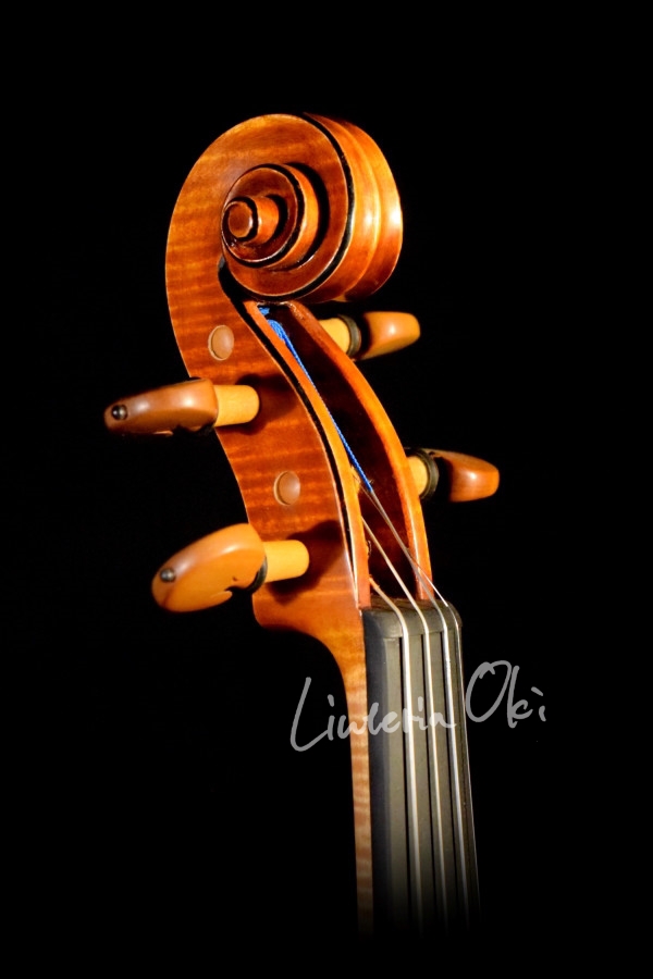 Violin 