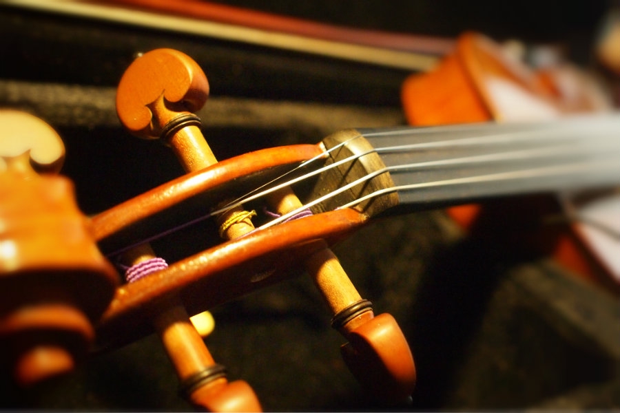 入門者～初心者のためのセットバイオリン | 大樹バイオリン工房 