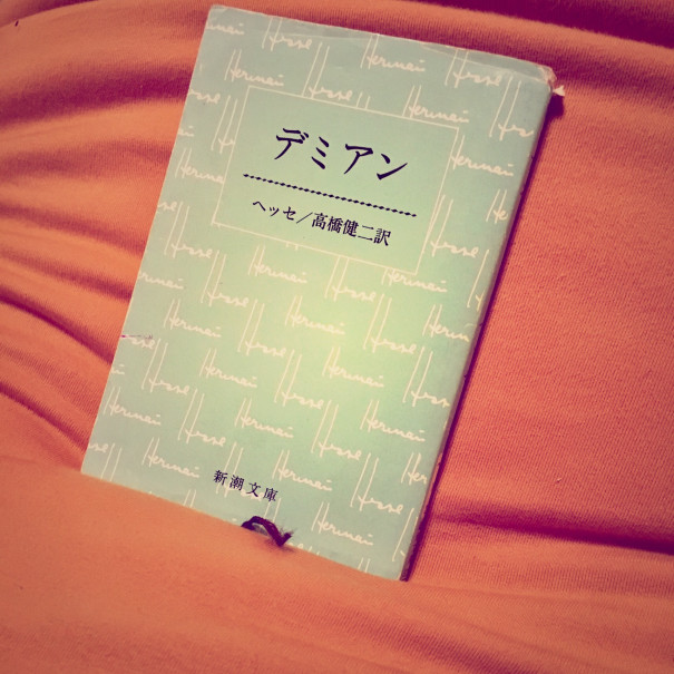 誰もが物語を生きている ヘッセ デミアン 人生を変える 何度も読み返したい すごい本