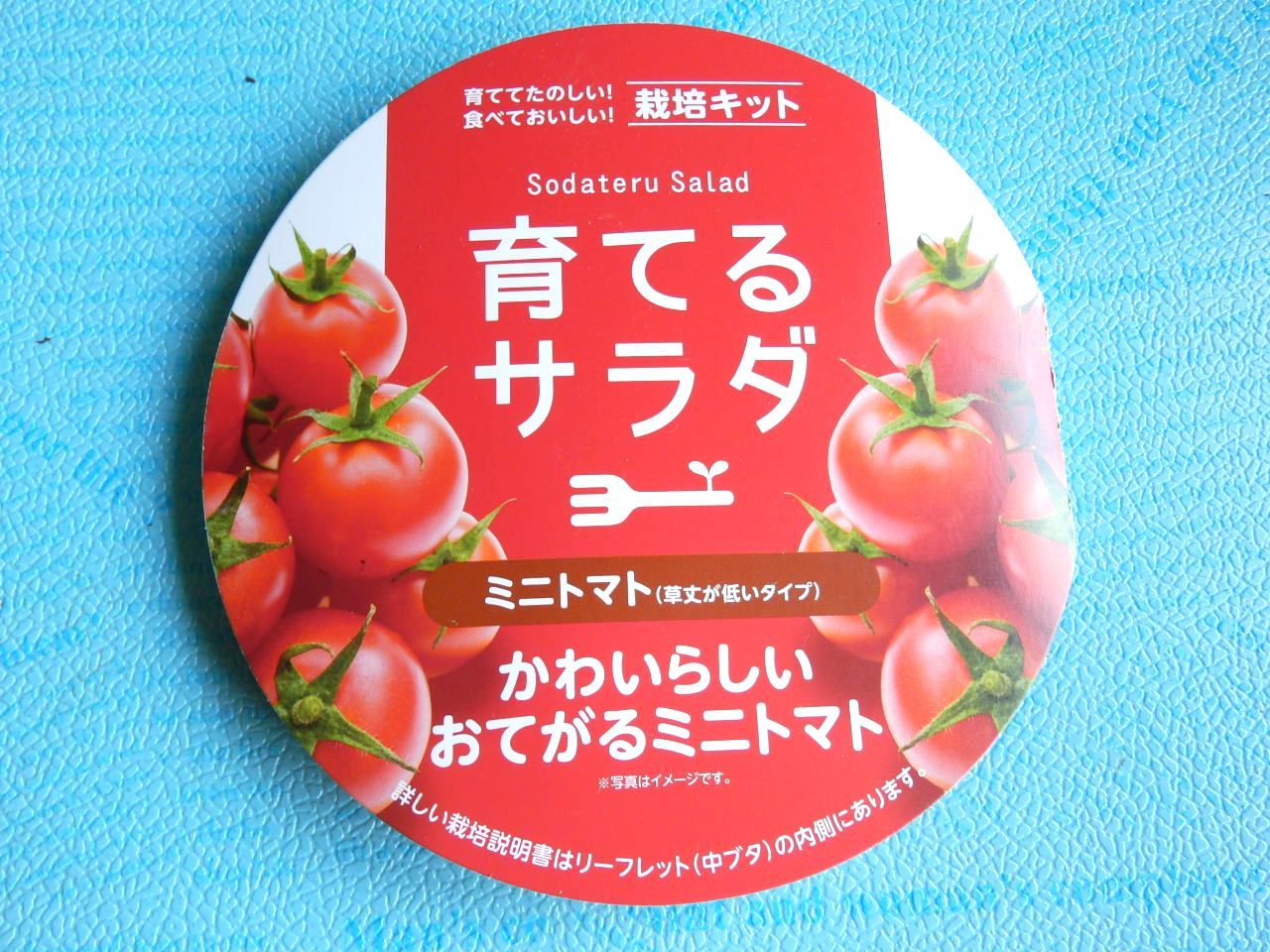 育てるサラダ ミニトマト The Harvester S Ownd