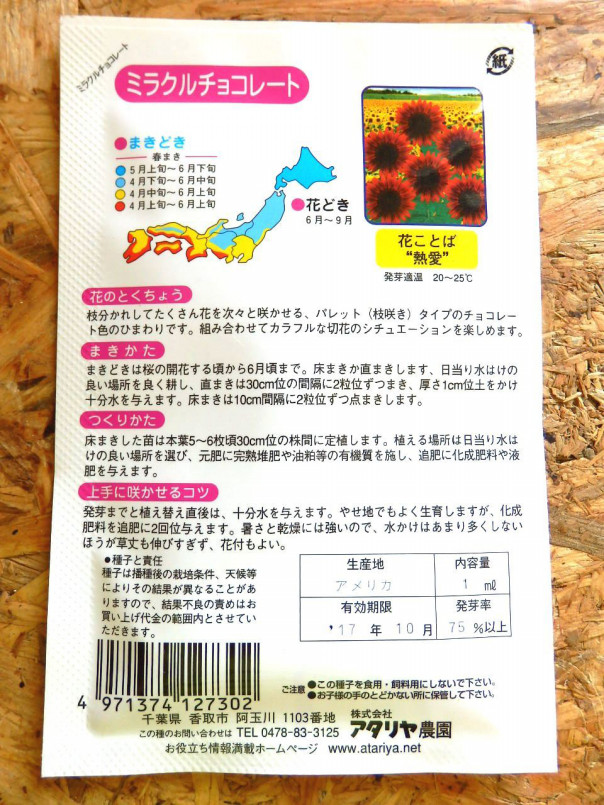 ミニひまわり ﾐﾗｸﾙﾁｮｺﾚｰﾄ の種を蒔きました The Harvester S Ownd