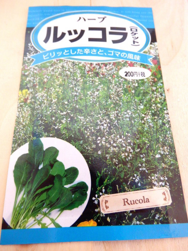 ルッコラの種蒔き 発芽 収穫 出荷まで The Harvester S Ownd