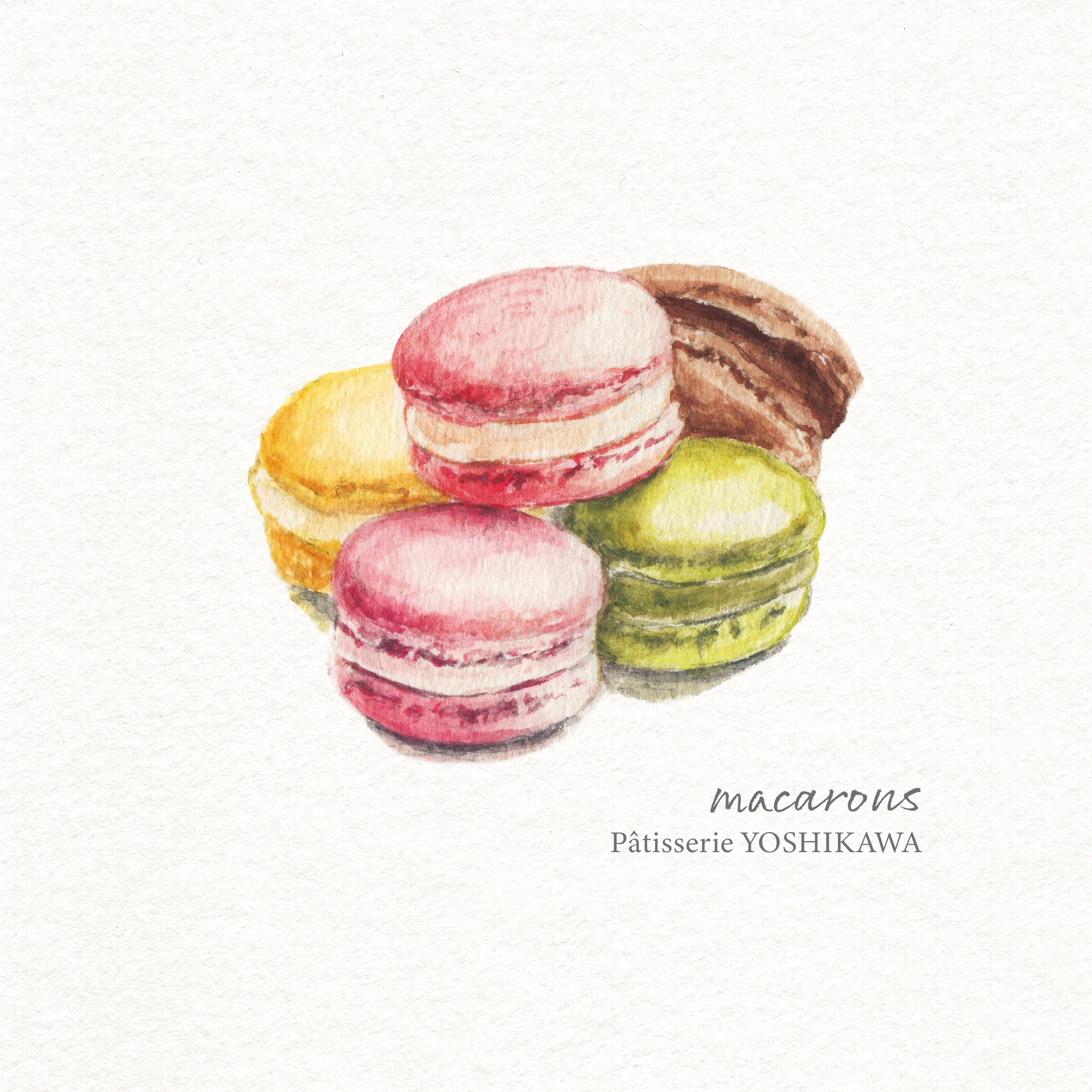 Macarons_マカロン | Pâtisserie YOSHIKAWA