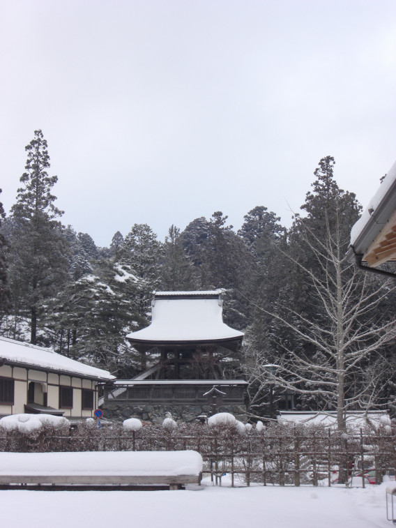 今日の高野山 はーと Full 高野山 日々是好日