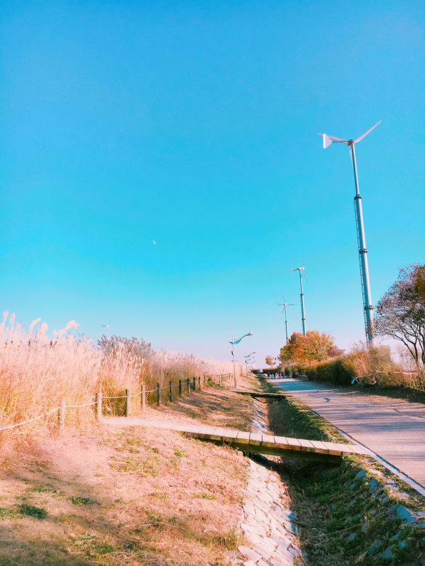 綺麗な空 韓国人の日常 綺麗な空 韓国人の日常