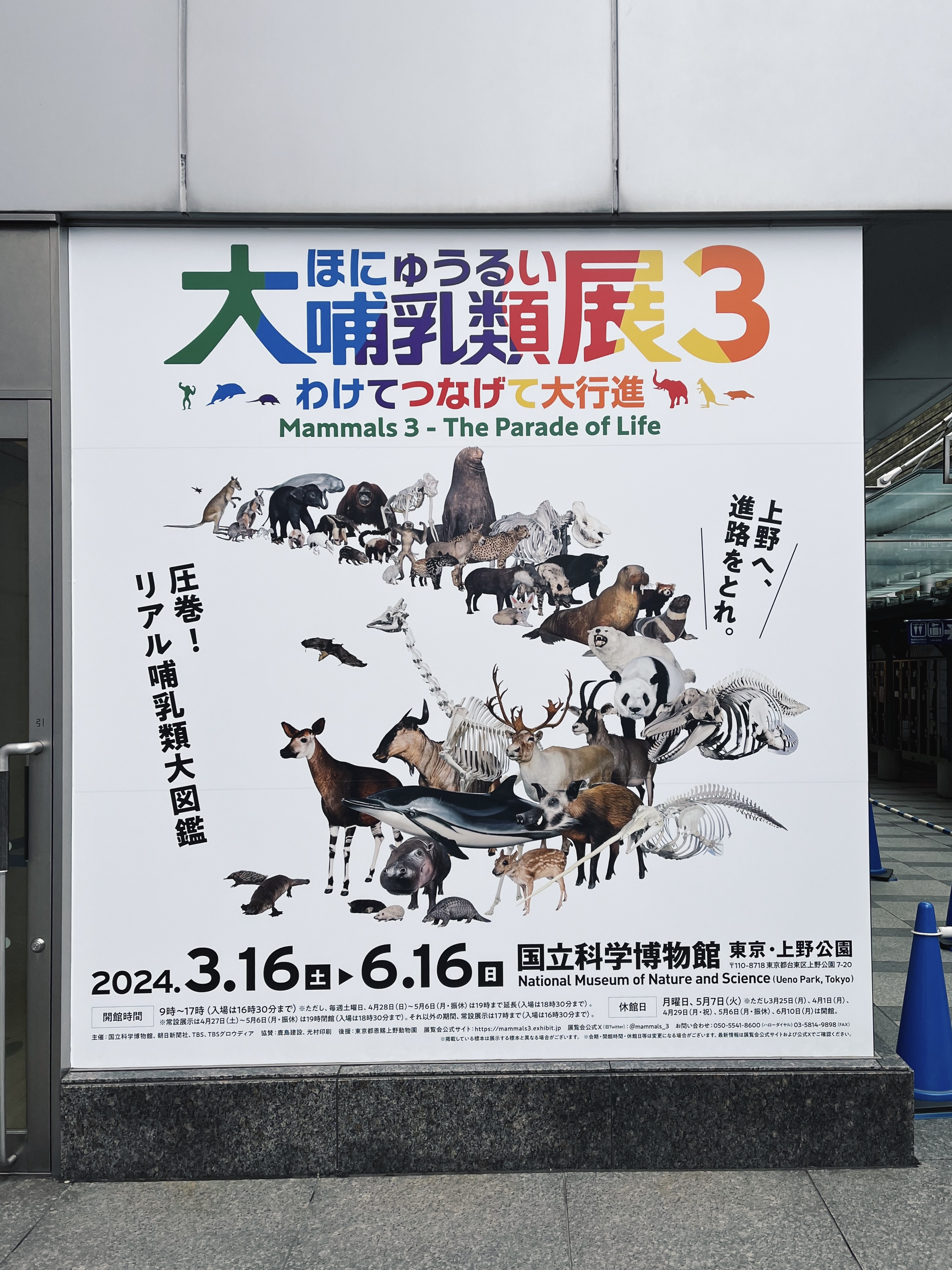 大哺乳類展3 | Michel【ミシェル】