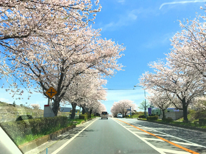 ごあいさつ しあわせなからだ研究室 ごあいさつ しあわせなからだ研究室