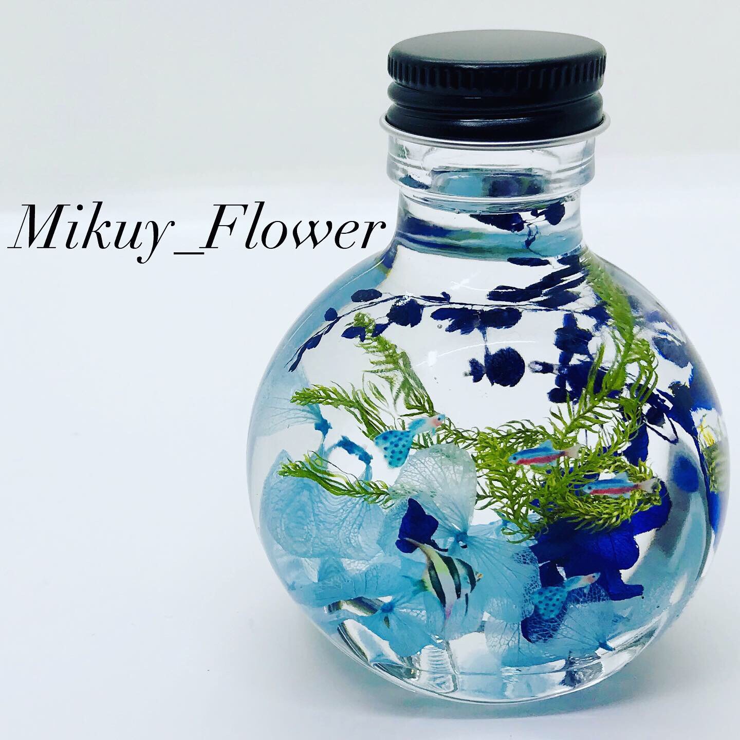 熱帯魚のハーバリウム完成 | Mikuy_Flower