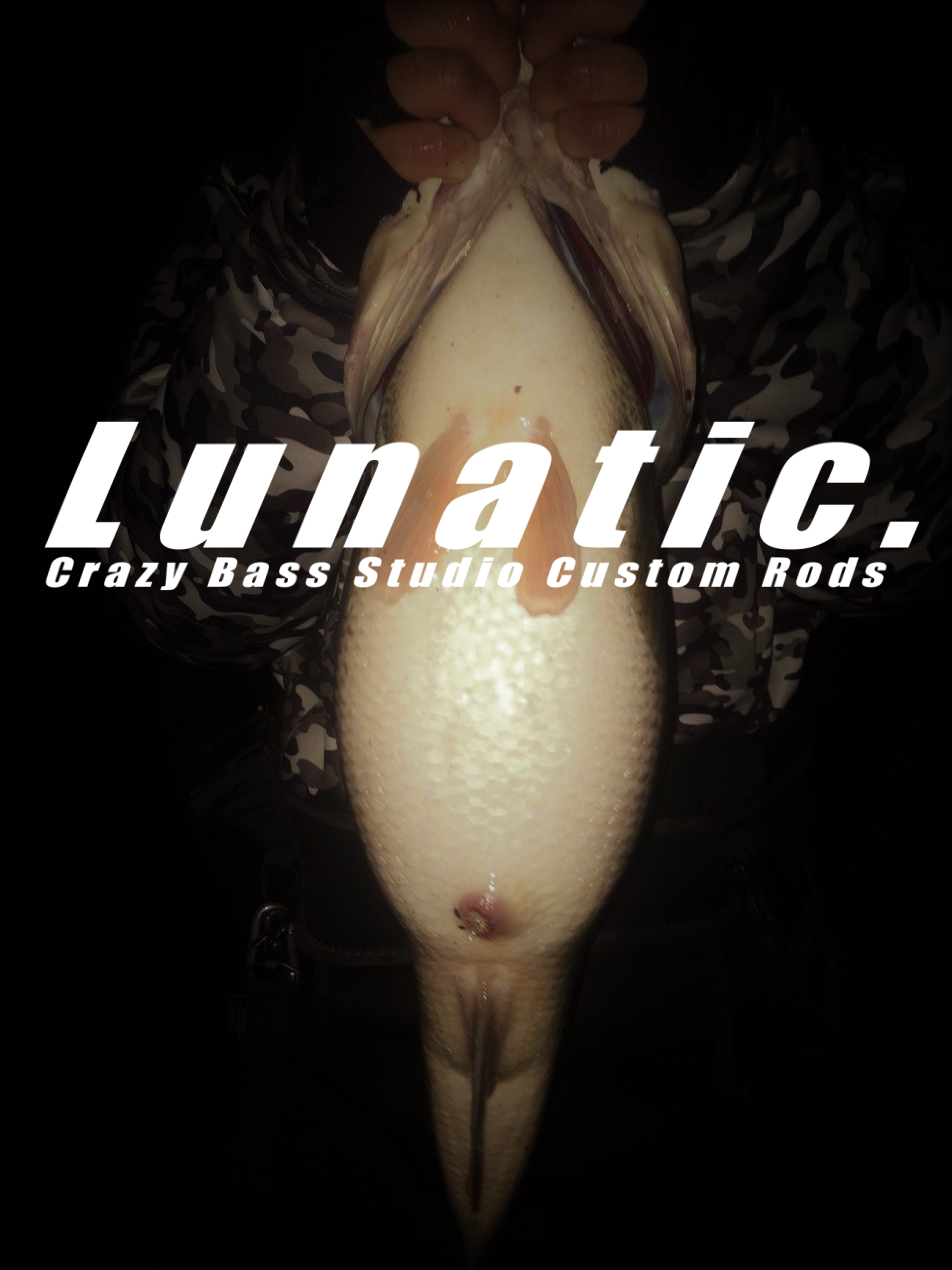 Lunatic. | Crazy Bass Studio
