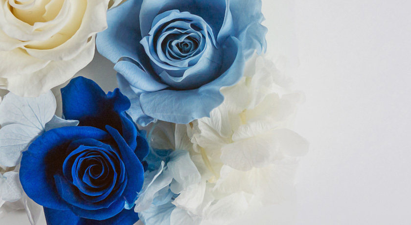 成功するお見合い写真  ファーストコンタクトマリッジ