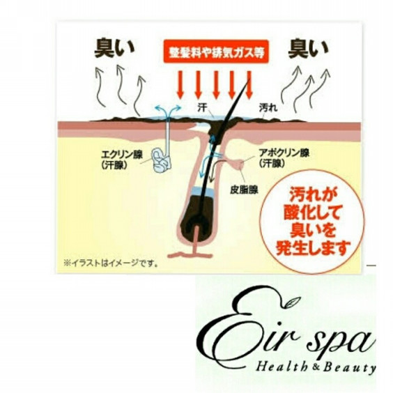 気になる夏の頭皮の皮脂って Eirspa Official Site