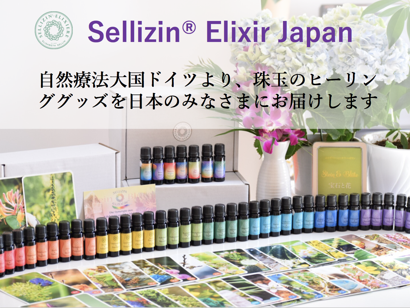 ベーシックセミナー | Sellizin® Elixir Japan（ゼリツィン®エリクサージャパン公式サイト）