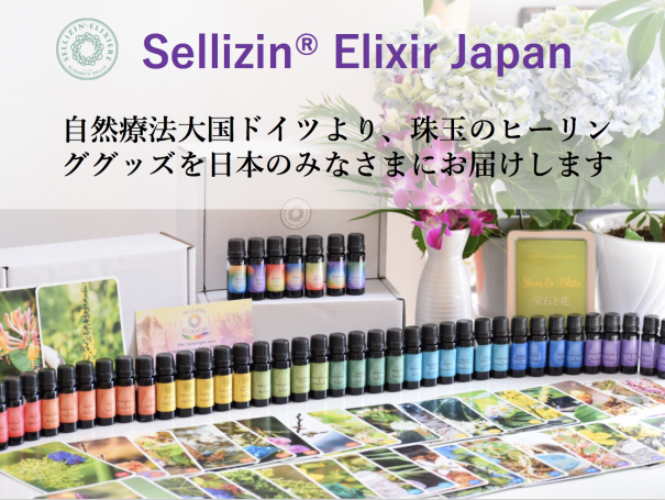 ベーシックセミナー | Sellizin® Elixir Japan（ゼリツィン®エリクサー