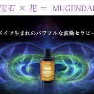 【即購入歓迎/美品】ゼリツィン®エリクサーベーシック一式＋教本・ワークブック 即購入歓迎/美品】ゼリツィン®エリクサーベーシック一式＋教本