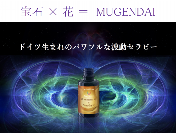 2025年05月の記事一覧 | Sellizin® Elixir Japan（ゼリツィン