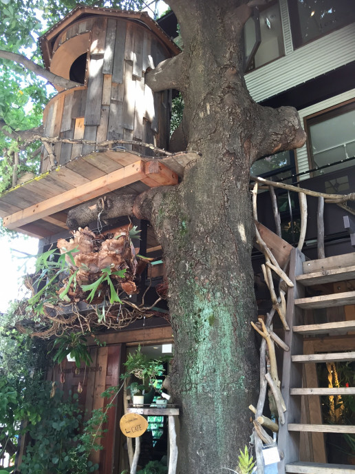 Cafe Les Grands Arbres Julie Japon Cafe Les Grands Arbres Julie Japon