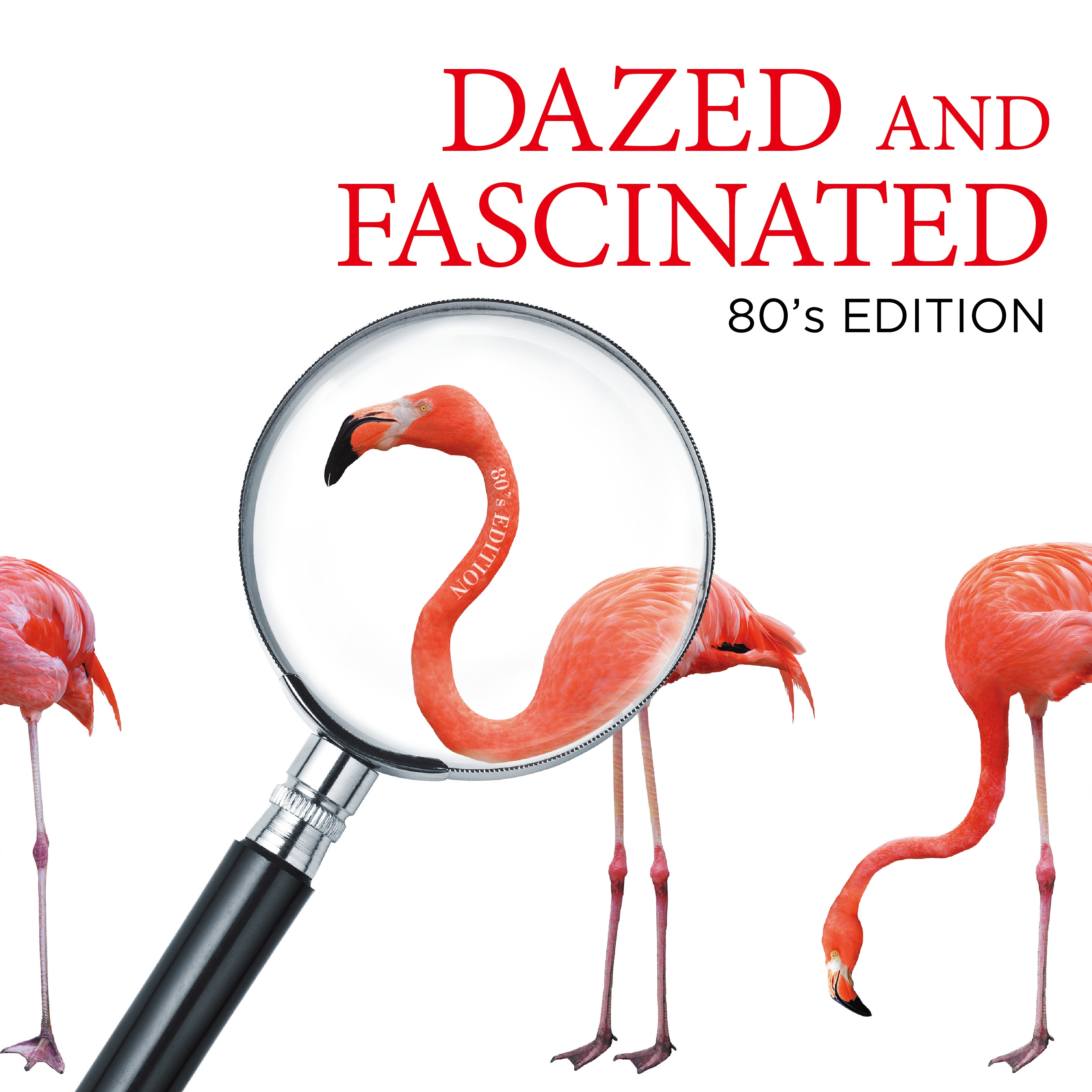 ロス ロボス Warner Music Life