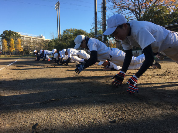 チーム紹介 彩球ｂｃ公式サイト