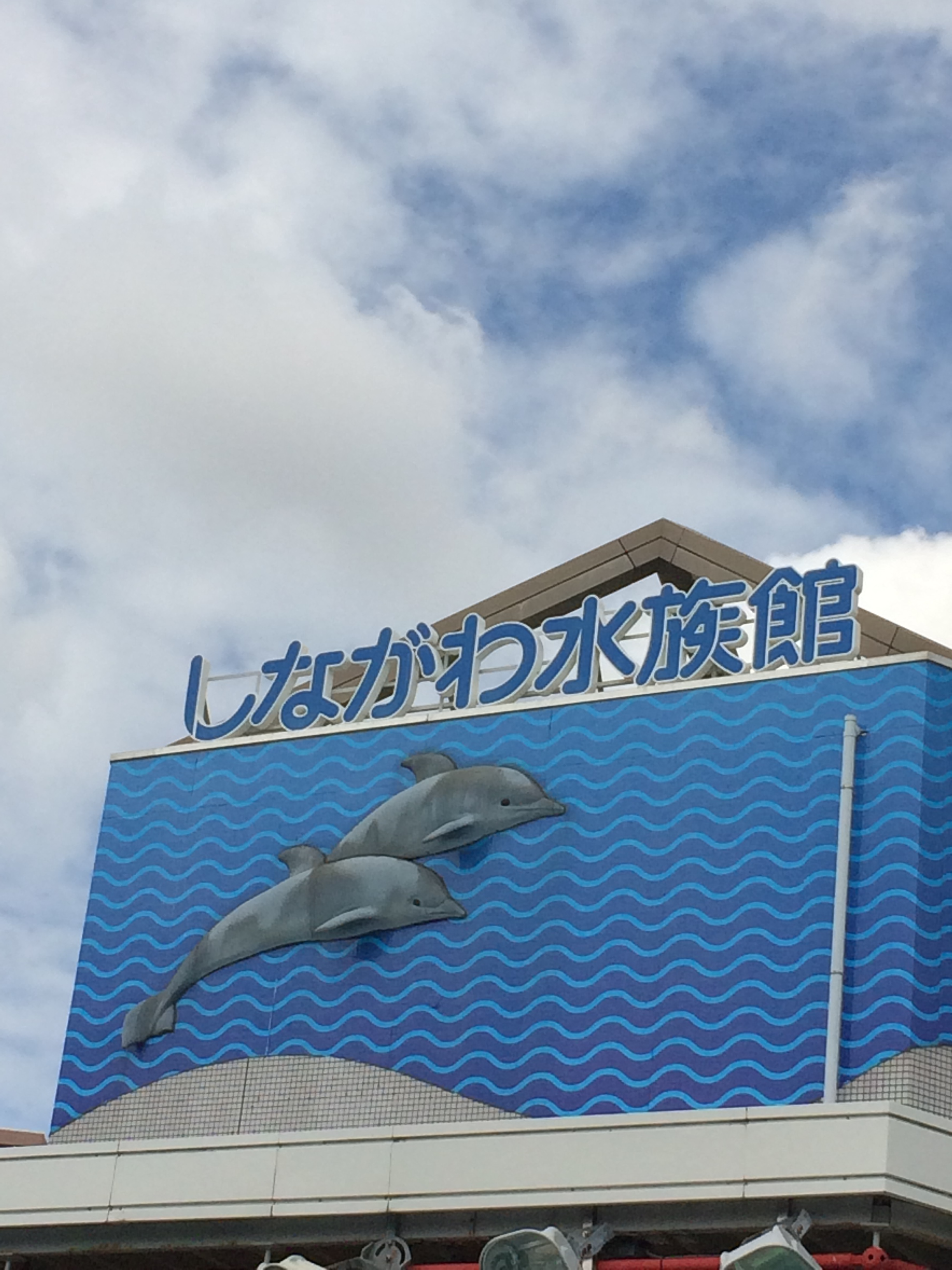 しながわ水族館 | さくらんぼ倶楽部🍒