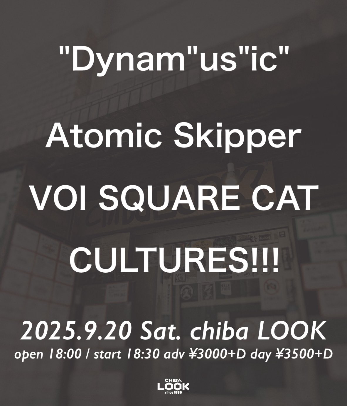 VOI SQUARE CAT OFFICIAL WEB SITE