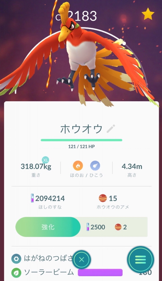 ホウオウ降臨 K S Paddoc ホウオウ降臨 K S Paddoc