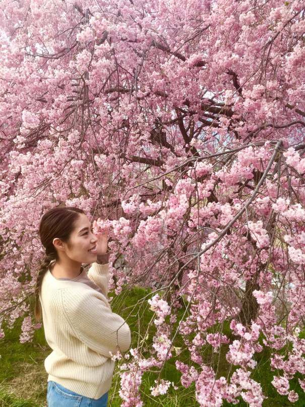 桜を愛でるあの日 Hal Yoga Life 長野松本 Class たかみやはるか