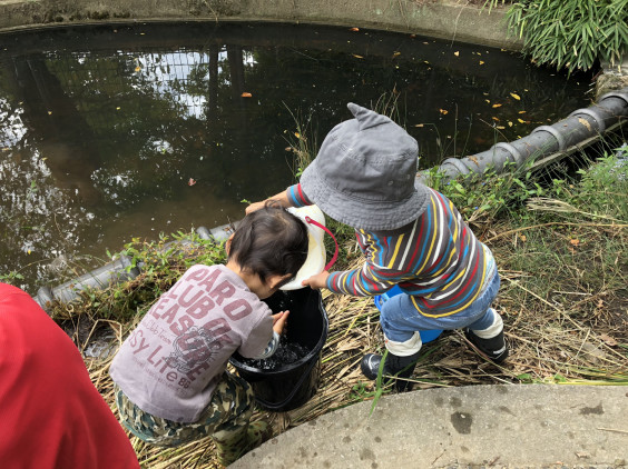 大きいバケツと小さいバケツ そとはうち