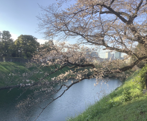 新しい季節はなぜか切ない日々 なわけ ほどよく くらす