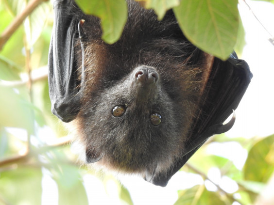 10 28 水 通常営業 あやふふぁみ