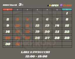 【③・テスト出品】Carp schedule 2021 2WDW 2021-2023 Yamaha MT-09 Mail In ECU Flashing Service – 2
