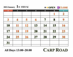 2021年01月の記事一覧 | CARPROAD.JAPAN OFFICIAL