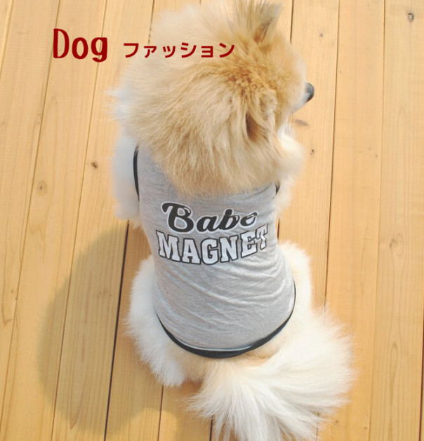 Dog Fashion S Ownd