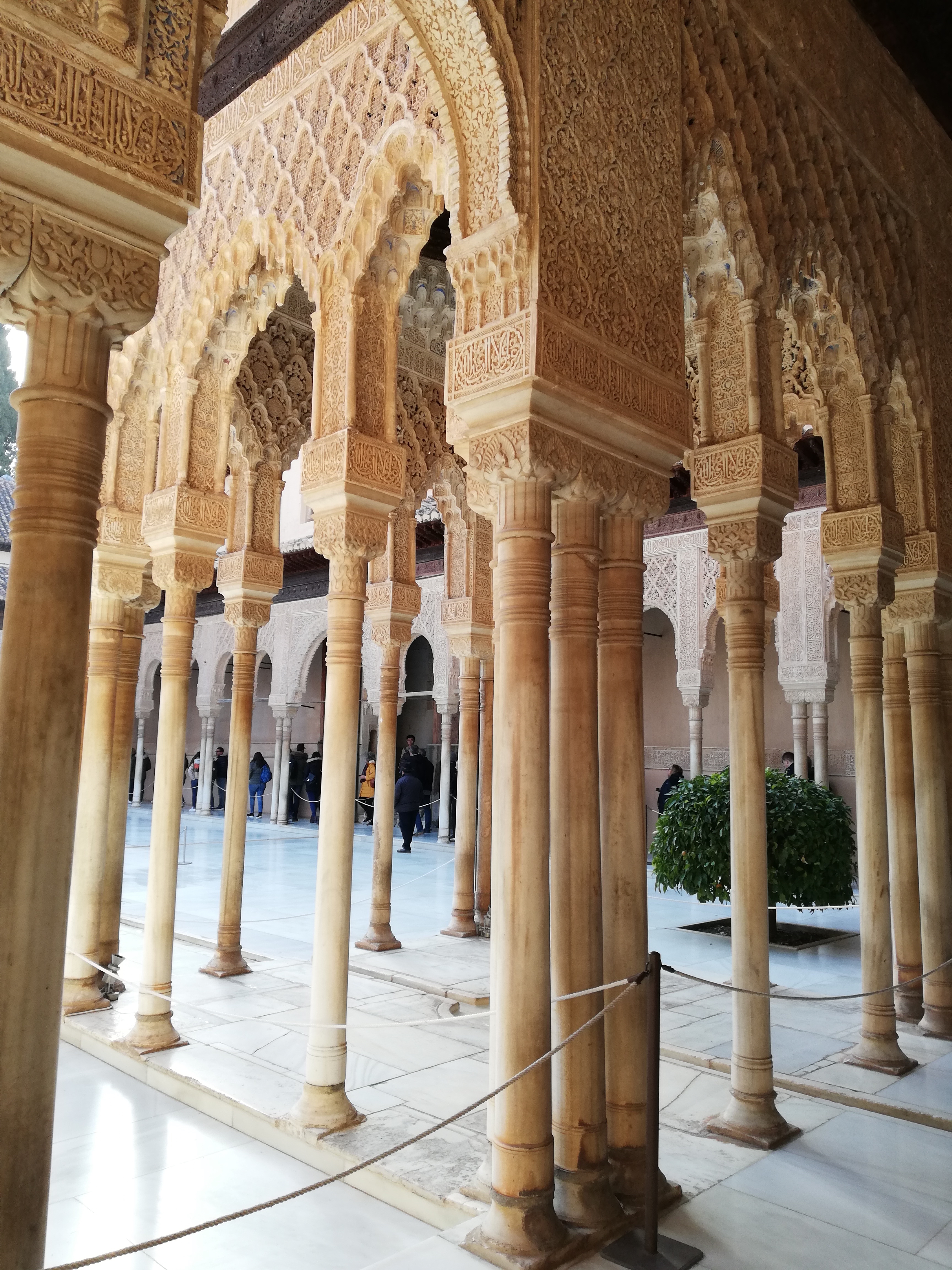 aa8b396f842d1c304566d4d360e73f