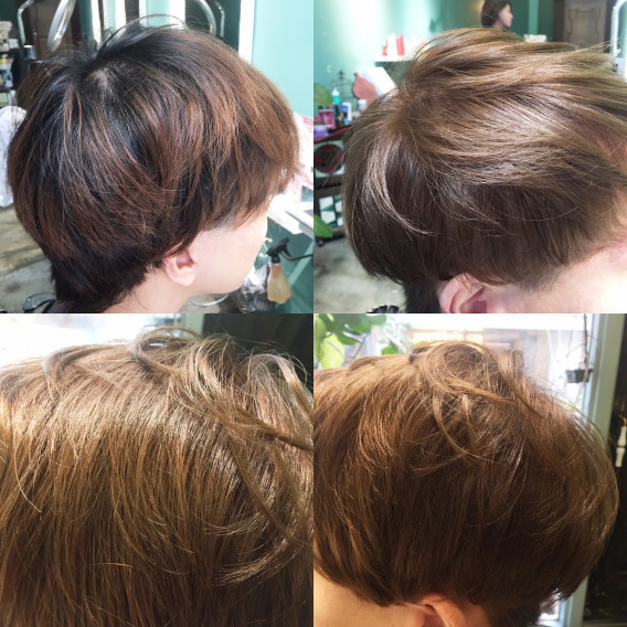 アプリエカラーナチュラル Bapos Hair Salon History