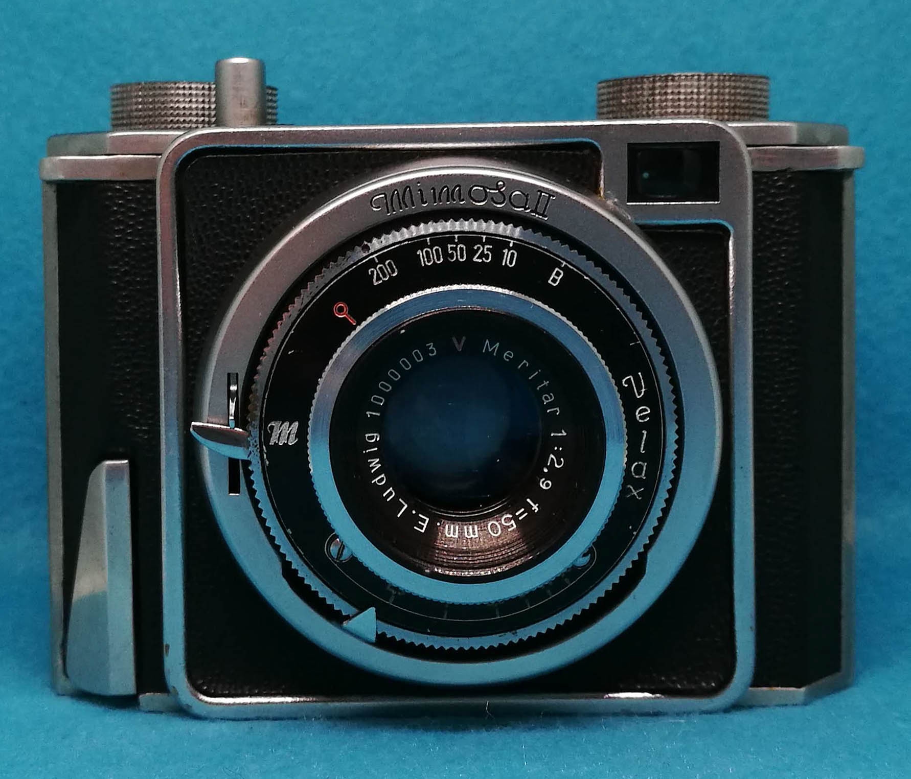 可愛すぎるミモザⅡ | 篠原カメラ（フィルムカメラ修理専門）
