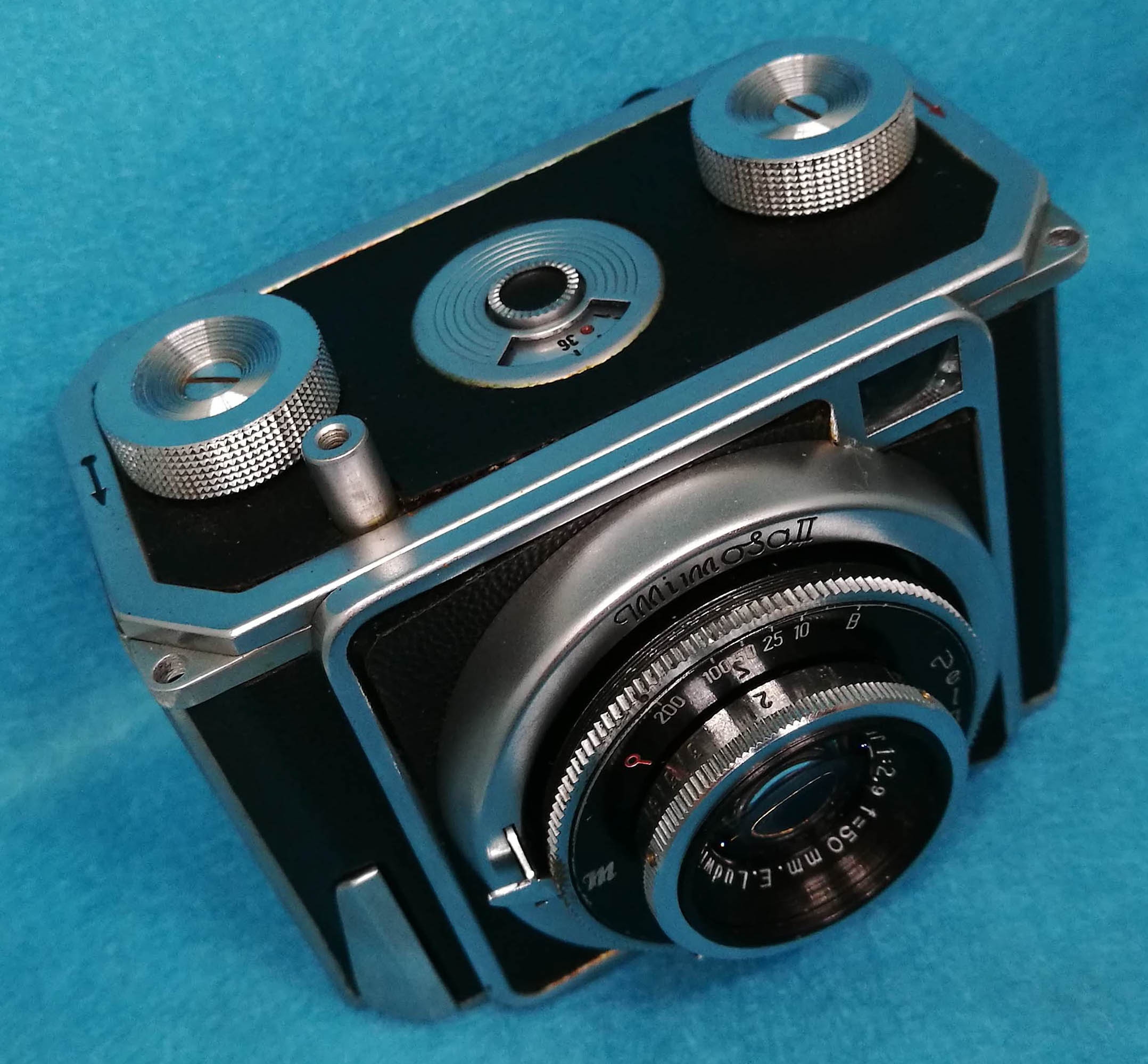 可愛すぎるミモザⅡ | 篠原カメラ（フィルムカメラ修理専門）