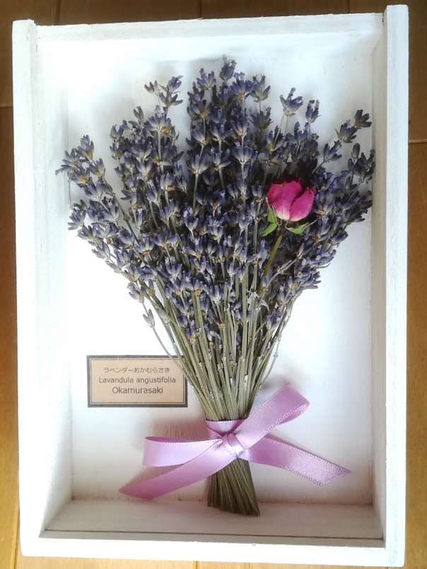 北海道のラベンダー屋 富良野ラベンダーワークス