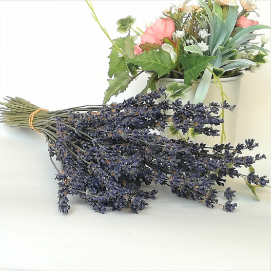 北海道産 ラベンダー おかむらさき ドライフラワー 素材 農薬を使わないで育てました 北海道のラベンダー屋 富良野ラベンダーワークス