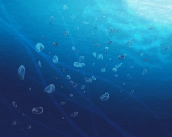 水中を描く Mofu S 365