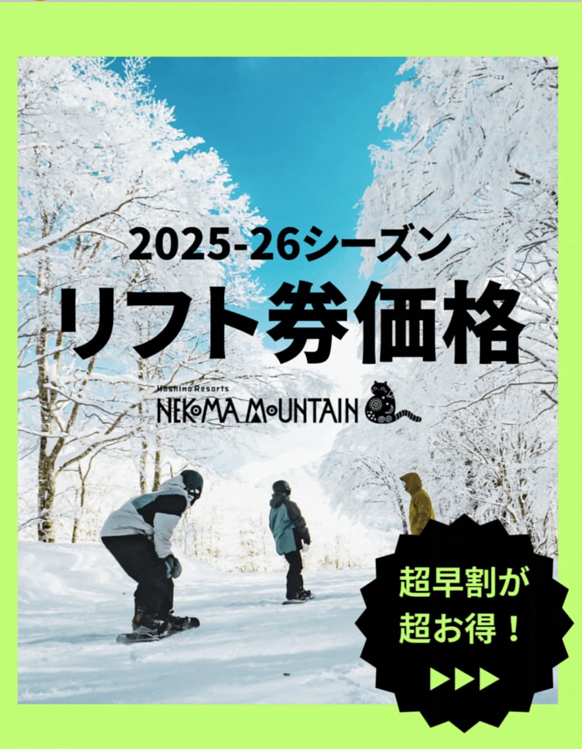 ネコママウンテン リフト券 2024-25シーズン　２枚組 リフト券 大人用 星野リゾート ネコママウンテン 2024-25シーズン 星野
