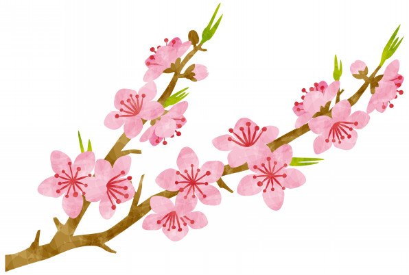ひな祭りのイラスト 2018 Rkrkのフリーイラスト ひな祭りのイラスト 2018 Rkrkのフリーイラスト