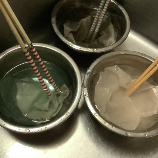 アボカド 草木染め 色見本 植物 材料 季節の草木染め と 色 と インスタレーションの世界 駒澤菜穂子 染の世界