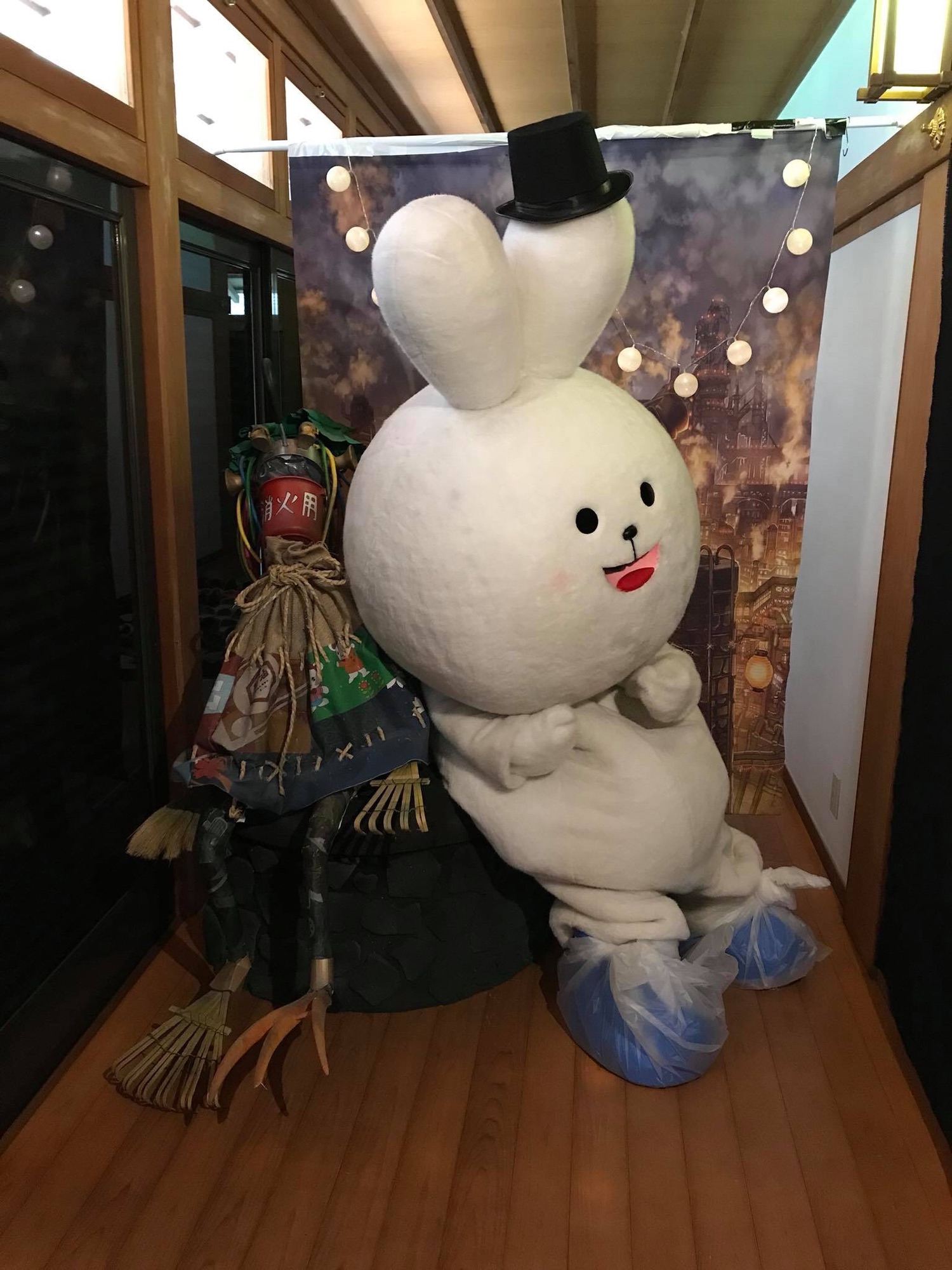 ぴょんちゃん 癒し】ぴょんちゃんのんちゃんがキタ♪───O（≧∇≦）O