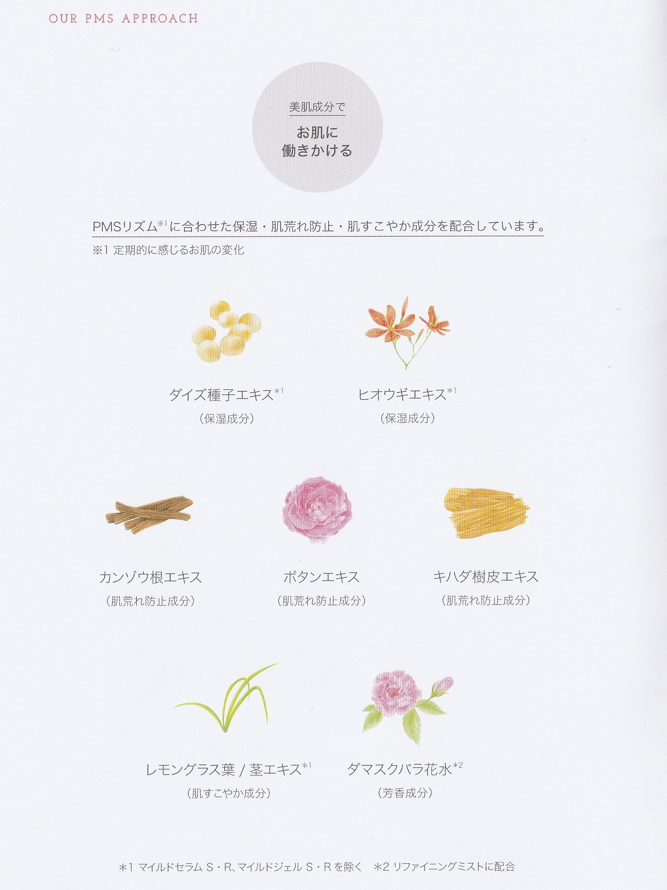 PMSモイスチュアミストS/R | プルメリア Plumeria